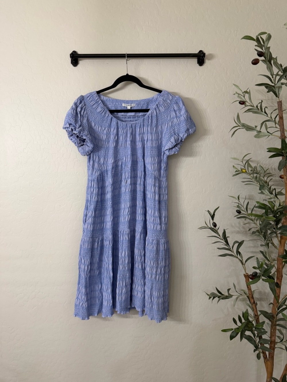 Love Olive Co Light Blue Smocked Short Sleeve Dress